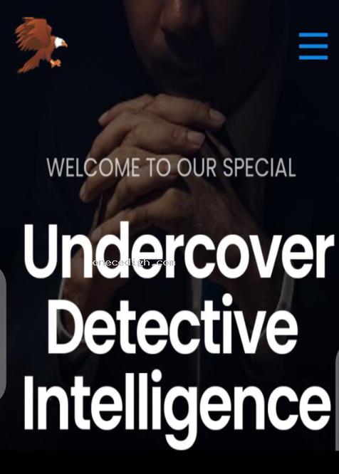 detectiveafrica.com